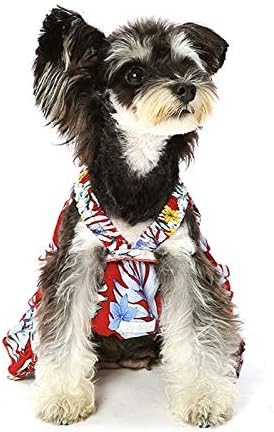 WZHSDKL Дрехи за кучета, Френска Пакетче за Котки, Сватбена Гавайское рокля за кучета, Скъпа Дрехи за Кучета, Играчки за малки кучета, Чихуахуа (Цвят: Червен, Размер: Средно)