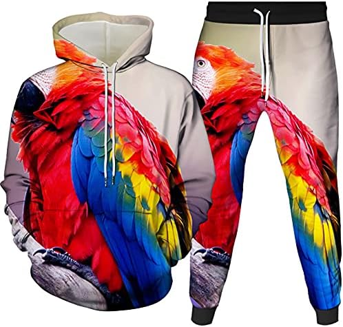 Мъжки Спортни дрехи С качулка 3D Bird Серия С Дигитален Печат, Мъжки костюм от две части