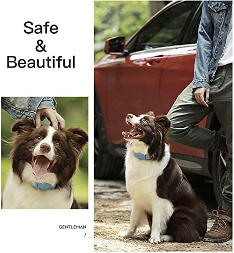 Кожен нашийник за домашни любимци, интегриран с Apple AirTag Tracker, калъф-стойка за кучета / котки, Персонални Аксесоари, Траен Естетичен Удобен ремък с водоустойчив защитен калъф, защищающим от загуба (син, S / 400