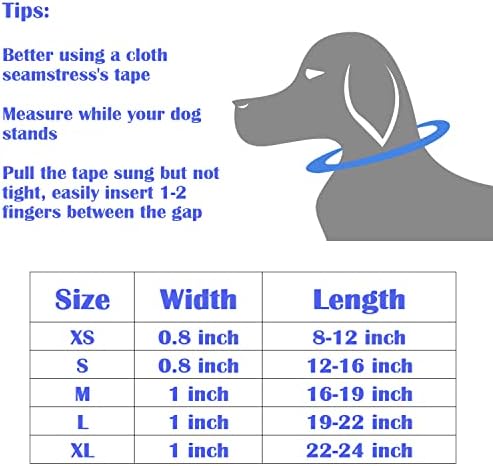 Персонализирани Нашийник за кучета с пеперуда, Изработен по поръчка с имената на табелка, на уникалната идентификация биркой с Надпис, Каишка, със същите цифри По желание, Регулируеми размери XS S M L XL) (по-Дебел